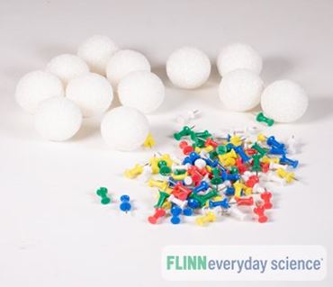 Blood Types and Inheritance Patterns - FlinnEverydayScience&trade;