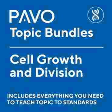 Pavo Science Topics: Cell Growth and Division-PAV1063