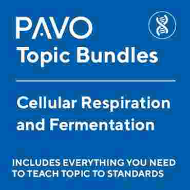 Pavo Science Topics: Cellular Respiration and Fermentation-PAV1065