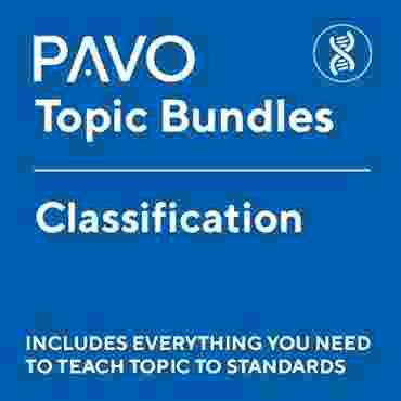 PAVO Bundle: Classification-PAV1025