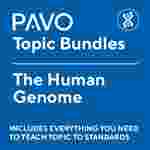PAVO Bundle: The Human Genome-PAV1022