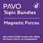 PAVO Bundle: Magnetic Forces-PAV1046