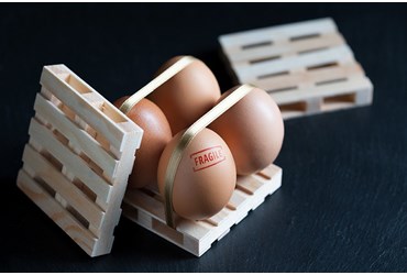 Build Your Own Egg-Transport Vehicle