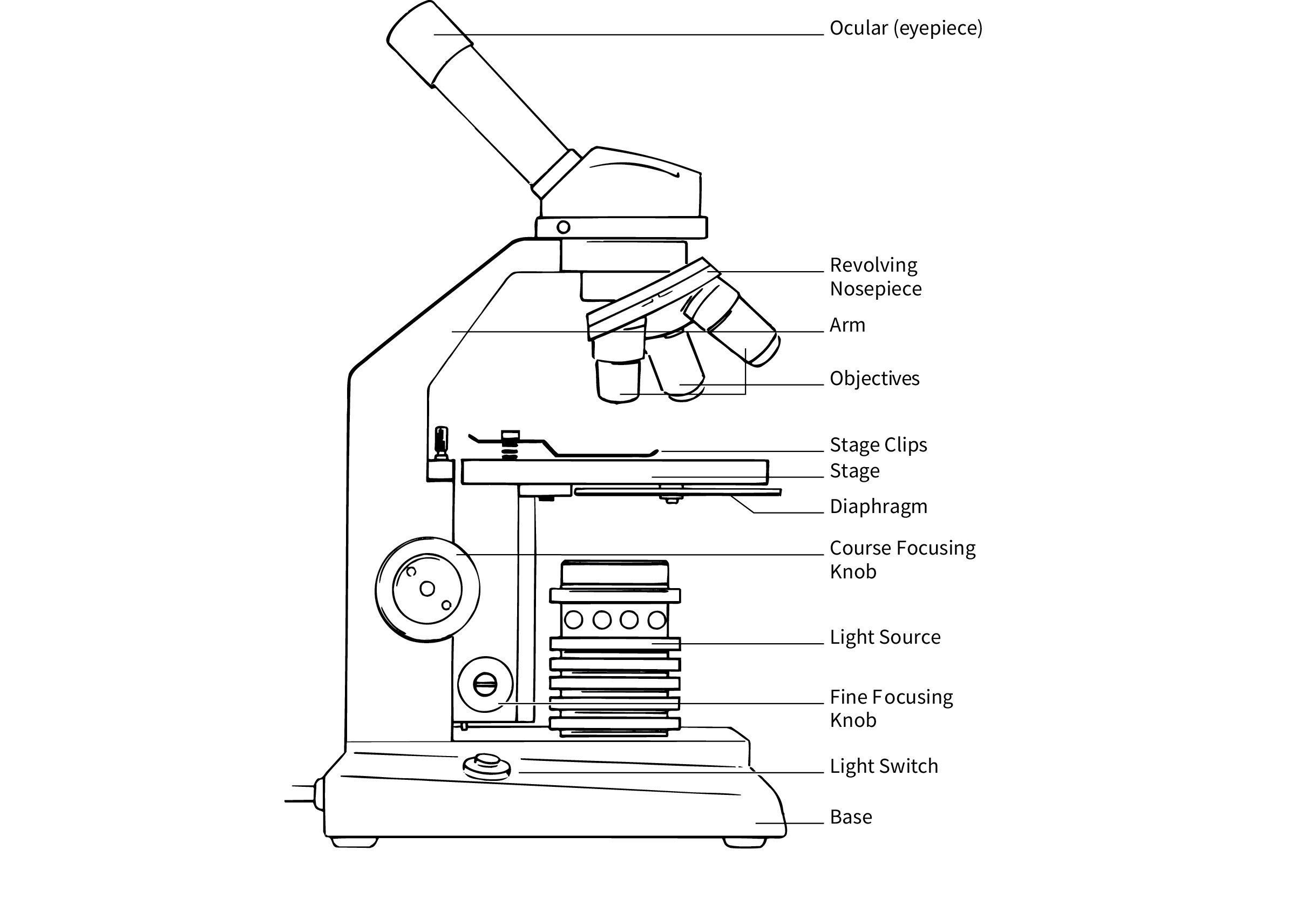 microscope parts and definitions