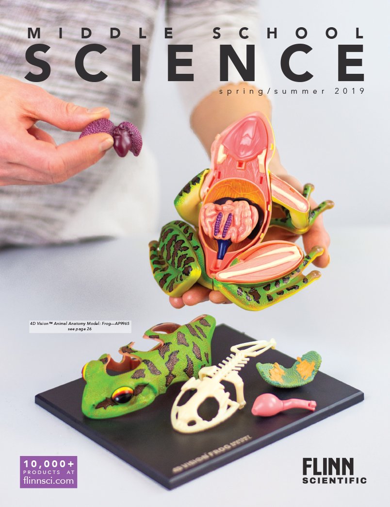 2019 Spring-Summer MS General Digital Mini