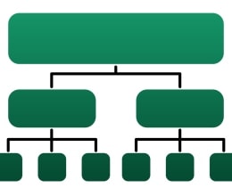 Classification & Taxonomy