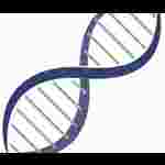 Genetics & DNA