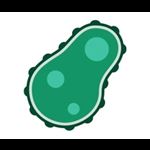Protozoa
