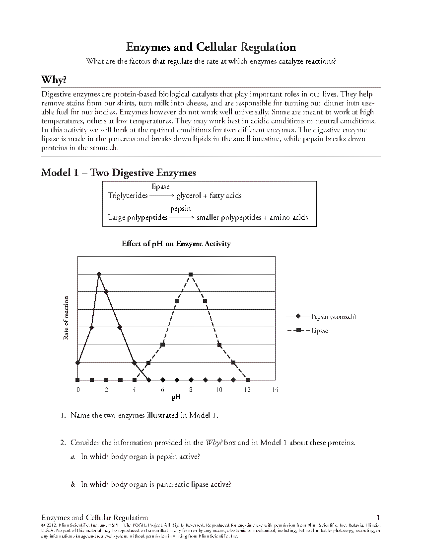 Sample Activity for POGIL™ Activities for AP* Biology